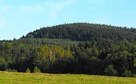 Agroturystyka Zacisze Czarna Owca